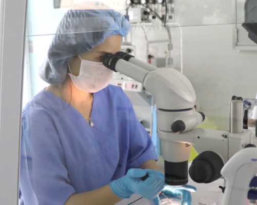 合肥代孕中心价格表,试管移植*大家都有哪些症状？反复移植失败什么原因