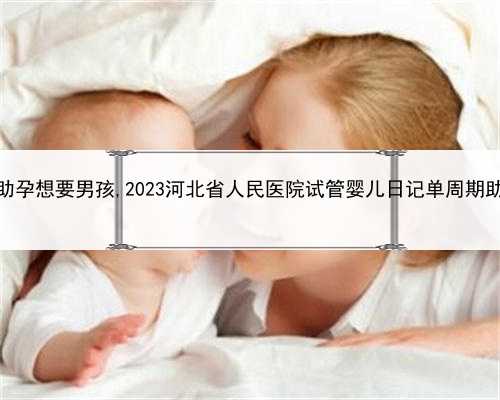 代孕qq，河北助孕想要男孩,2023河北省人民医院试管婴儿日记单周期助孕成功率